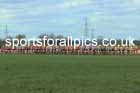 Intermediate Girls 2024 English Schools Cross Country Champs., Pontefract, March 16th.  Photo: David T. Hewitson/Sports for All Pics